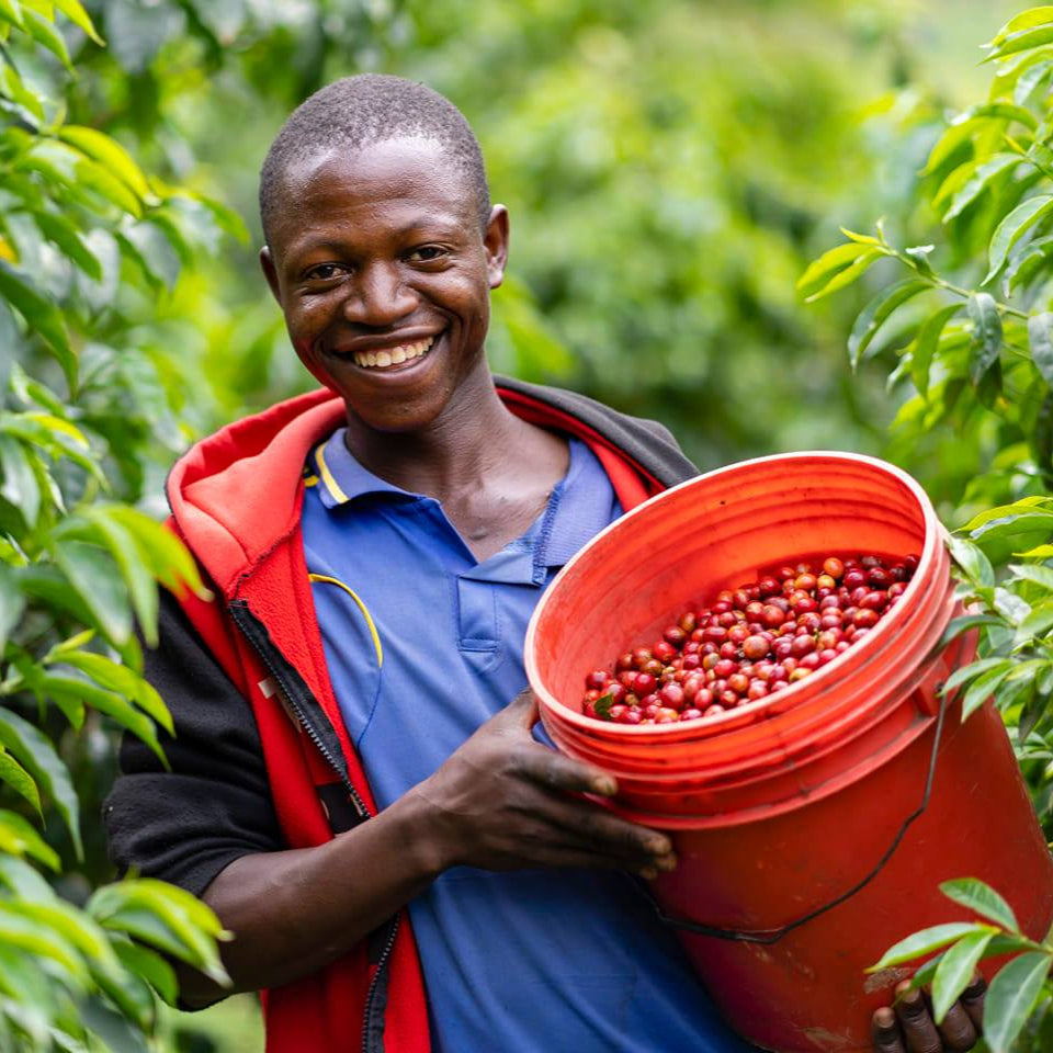 Dünya Kahve Günü ve Kahvenin Kültürel, Sosyal Etkileri